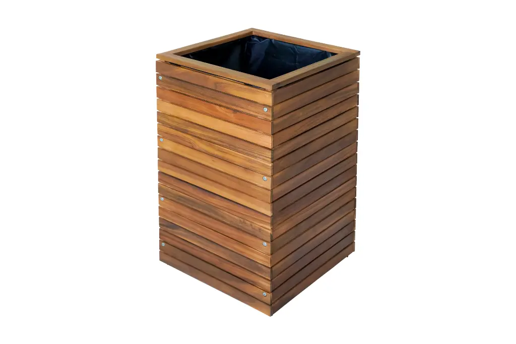 Adobe Express - file.webp