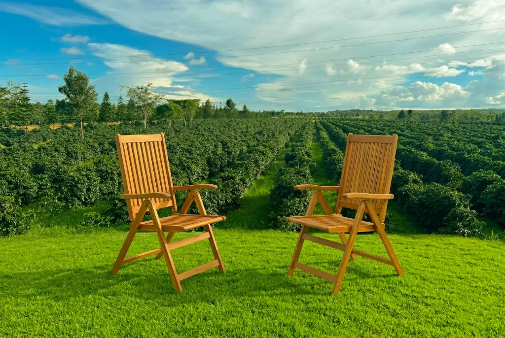 FOLDING CHAIR - TPF01